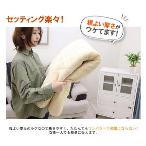 ラグ カーペット 抗菌 防ダニ キルト 洗える...の詳細画像4