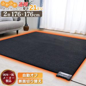 ふかふか遠赤省エネ電気カーペット 176×176 ホットカーペット ２畳 自動オフ 暖房器具 ホットマット 秋冬　コンパクト 本体 あったかい｜freelife