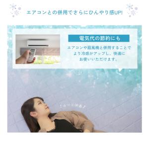 ラグ 夏 ひんやり 冷感 接触冷感 ラグ 19...の詳細画像4