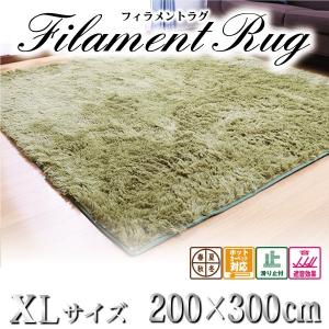 ラグ カーペット シャギーラグ ラグマット フィラメント 200×300 絨毯 おしゃれ オールシーズン 秋 冬 フリーリー