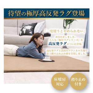 ラグ カーペット 厚手 高反発ラグ 極厚 25...の詳細画像1