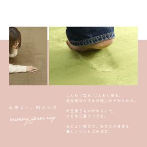 ラグ 【抗菌・防ダニ】カーペット 厚手 低反発...の詳細画像3