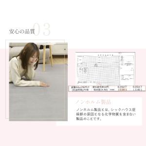 ラグ 【抗菌・防ダニ】カーペット 厚手 低反発...の詳細画像5