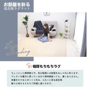 ラグ カーペット 厚手 低反発ラグ 極厚 25...の詳細画像2