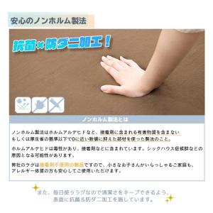 ラグ カーペット 厚手 低反発ラグ 円形 極厚...の詳細画像4