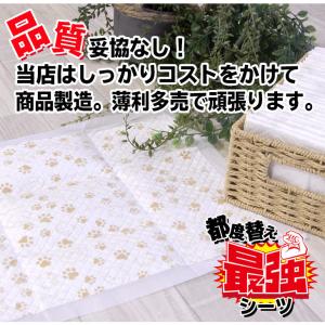 0円!サンプル品 ペットシーツ レギュラー8枚...の詳細画像4