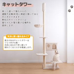 最終値❣️新品未使用❣️突っ張り型キャットタワー 高さ235-260cm FREE LIFE（フリーライフ） キャットタワー 突っ張り 高さ235〜265cm