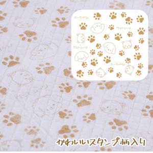 ペットシーツ レギュラー800枚 ワイド400...の詳細画像4