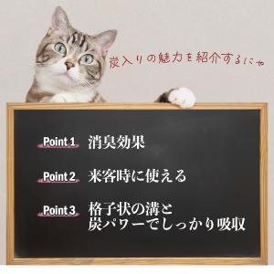 炭入りペットシーツ 厚型 ペットシーツ 消臭 ...の詳細画像2