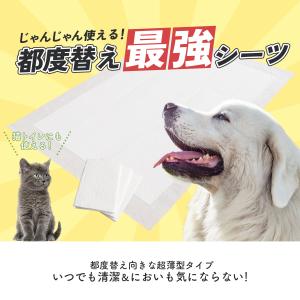 都度替え ペットシーツ レギュラー 100枚 ...の詳細画像1