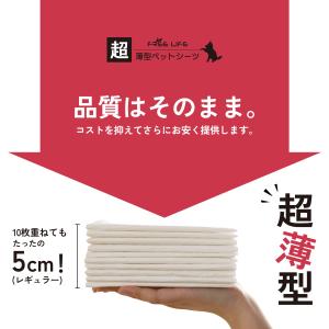都度替え ペットシーツ レギュラー 100枚 ...の詳細画像2