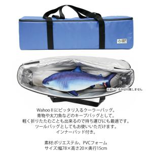 STREAMTRAIL ストリームトレイル イ...の詳細画像1