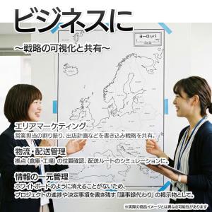ヨーロッパの地図ポスター 書ける白地図 2枚入りの詳細画像2