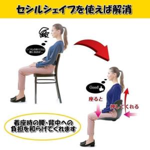 骨盤サポートチェア セシルシェイプ 座椅子 腰...の詳細画像4