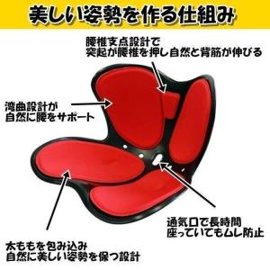 骨盤サポートチェア セシルシェイプ 座椅子 腰...の詳細画像5