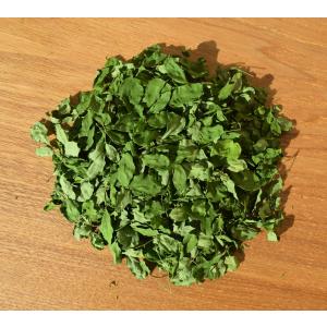 有機モリンガのチカラ Dried Leaves...の詳細画像1