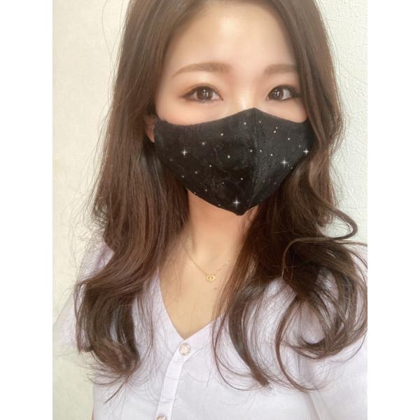 FREES052 スターライト100回洗える 日本製 高機能　厚生省令第34号基準以下　花粉粒子補修...