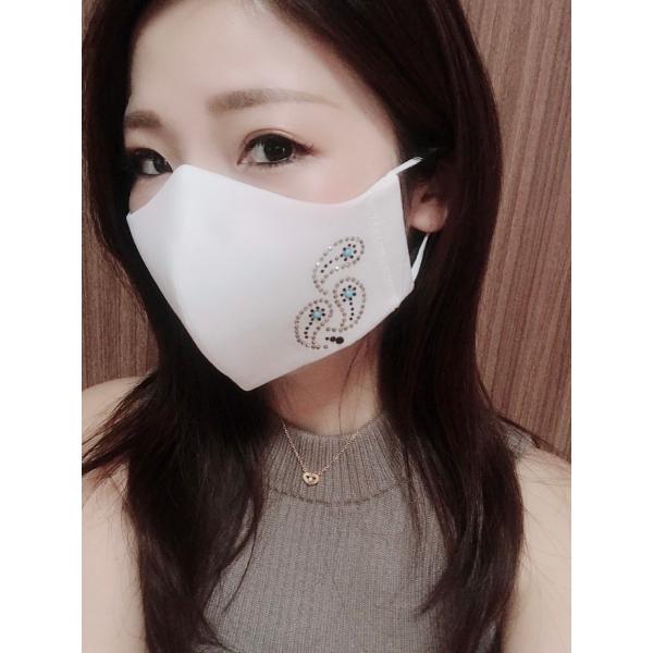 FREES013 ペーズリーラインストーン100回洗える 日本製 高機能　厚生省令第34号基準以下　...