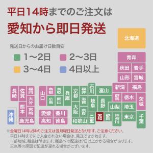 パナソニック 用 おたっくす 互換 2本セット...の詳細画像3