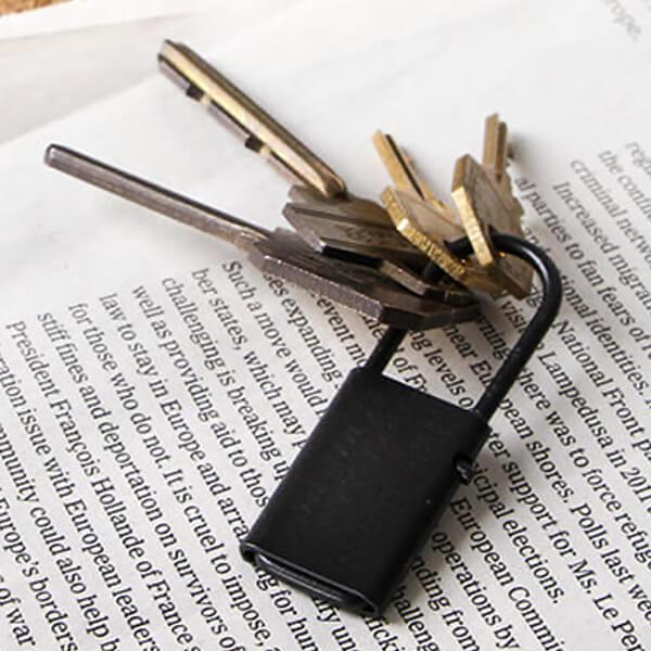 キーリング おしゃれ タイニーフォームド Tiny metal key chain ブラック キーリ...