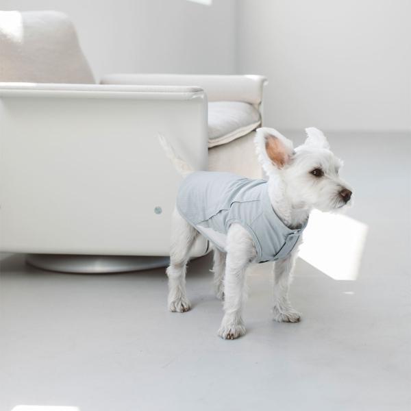 ドットエアベンチレーションシャツ L / LL　犬　服　おしゃれ　夏　春　春夏　撥水　シンプル　ドッ...