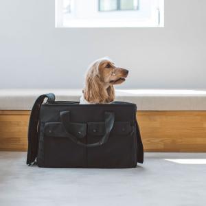 新幹線 犬用キャリーバッグ スリング の商品一覧 犬用品 ペット用品 生き物 通販 Yahoo ショッピング