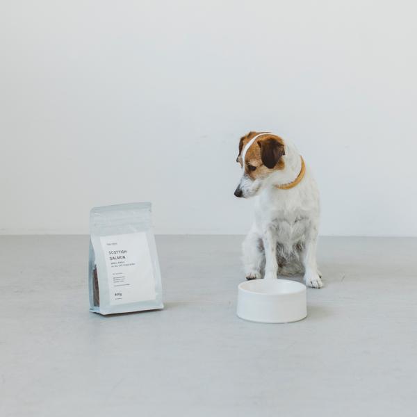 スコティッシュサーモン スモールキブル フォーオールライフステージドッグ 400g　サーモン　ペット...