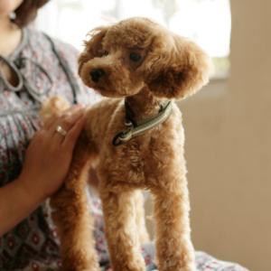 リフレクティブハーフチョーク　17