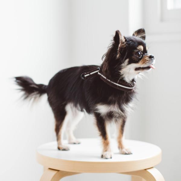 リフレクティブハーフチョーク　20