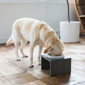 ドクターズダイエット ドクターズ ダイエット 犬用 パピー 3kg : SBS