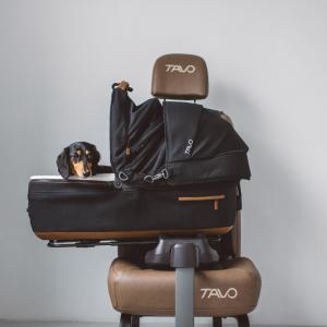 【犬　シート】TAVO Maeve メイブ ＋ ベース MF　シンプル　おしゃれ　ペットシート　車　ペット用　おしゃれ　安全　旅行　ペット用チャイルドシート