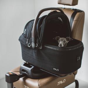 【犬　シート】TAVO Maeve メイブ ＋ ベース 6X　シンプル　おしゃれ　ペットシート　車　ペット用　おしゃれ　安全　旅行　ペット用チャイルドシート