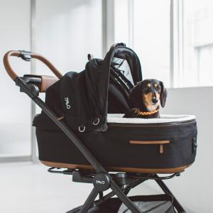 【犬　カート】TAVO Maeve メイブ ＋ Roscoe ロスコー ＋ ベース MF　ドッグカート　ペットカート　シンプル　おしゃれ　ペットシート　車　ペット用　おしゃれ