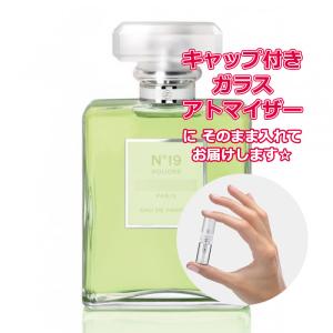 CHANEL（シャネル） NO.19 オードトワレ 100ml 香水 レディース 女性用