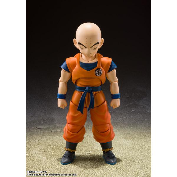 予約 バンダイ S.H.Figuarts ドラゴンボールZ クリリン-地球人最強の男- (再販版) ...