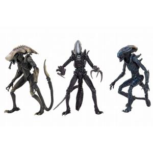 ◇訳あり◇ NECA ネカ AVP2 エイリアン vs プレデター ◇訳あり◇ NECA ネカ AVP2 エイリアン vs プレデター