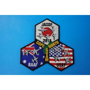 数量限定品 航空自衛隊 第203飛行隊 60周年 記念 パッチ 刺繍