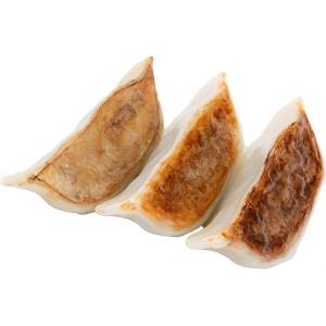 秋東精工 餃子プラモ 半人前