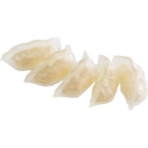 秋東精工 餃子プラモ スケルトン 1人前