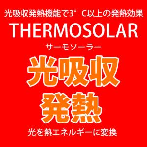 シニアファッション レディース 防寒 パンツ ...の詳細画像1