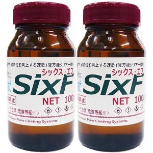 掃除 ガラスコーティング 20ｍ2用100g入り×2本、シックス・エフ SixF 耐久性3年以上