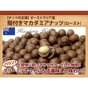殻付きマカダミアナッツ (ロースト) 5kg ...の詳細画像2