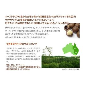 殻付きマカダミアナッツ (ロースト) 5kg ...の詳細画像3