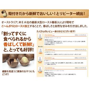 殻付きマカダミアナッツ (ロースト) 5kg ...の詳細画像4