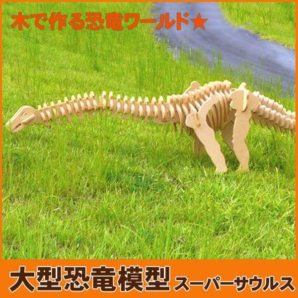 巨大恐竜！スーパーザウルス（骨格模型キット）