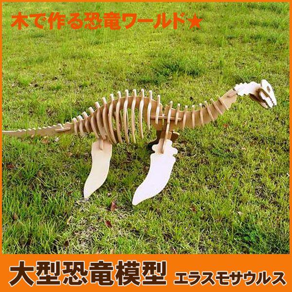 巨大恐竜！エラスモザウルス（骨格模型キット）