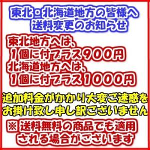ジャンボあくまき3本 送料無料の詳細画像2