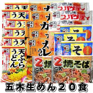 五木食品 生麺てんこ盛り18食セット 送料無料 : フレッシュかごしま