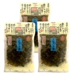 水溜食品 きざみ高菜 200g 3袋  1000円ポッキリ クリックポスト便