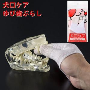 犬口ケア 歯ブラシ スリムシリンダーヘッド ( 1本 )/ マインドアップ